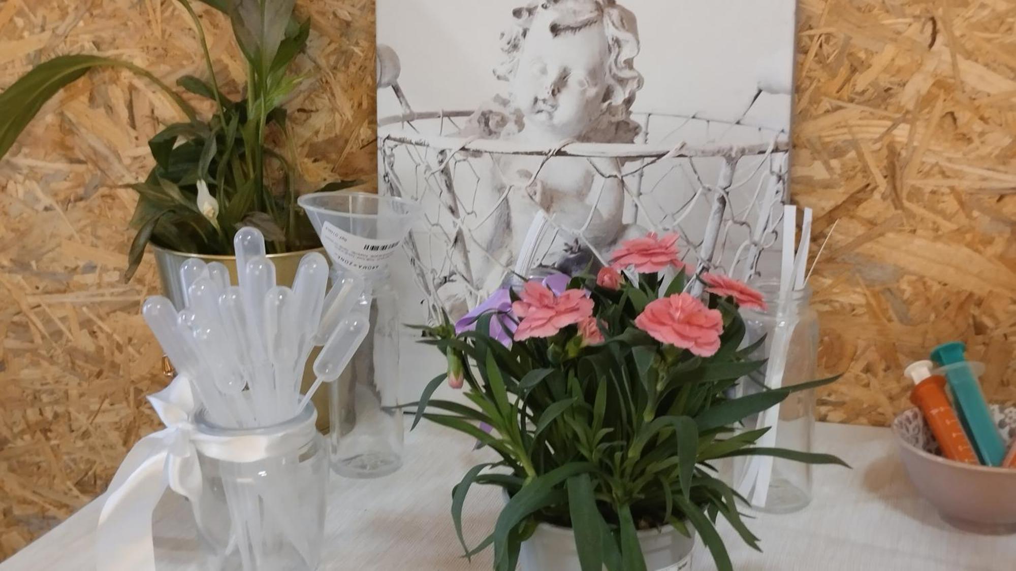 Le Laboratoire Shabby Chic De La Parfumerie Du Manoir Chavagne Ngoại thất bức ảnh